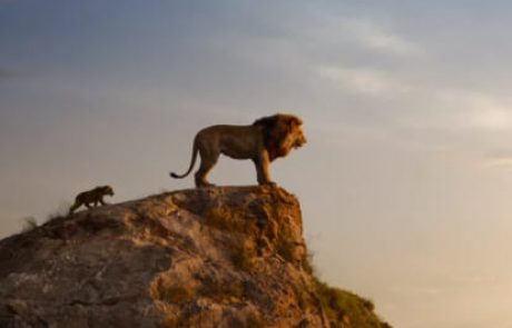 "מלך האריות" 2019 – עוד פעם אנימציה ולא אחרת…  גידי אורשר